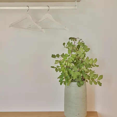 Mantis' House Apartment